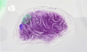 AI Implementation Strategy